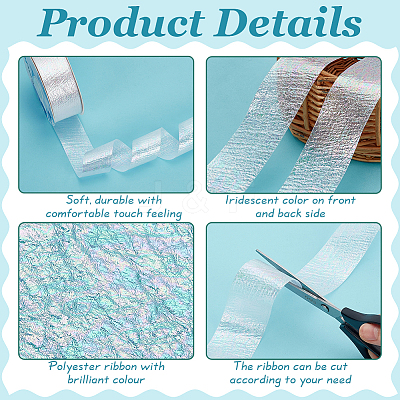 18M Iridescent Polyester Ribbon OCOR-WH0097-10A-1