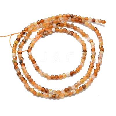 Natural Fire Opal Beads Strands G-G106-C03-01-1