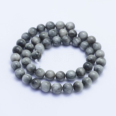 Natural Hawk's Eye Beads Strands G-L478-03-8mm-1
