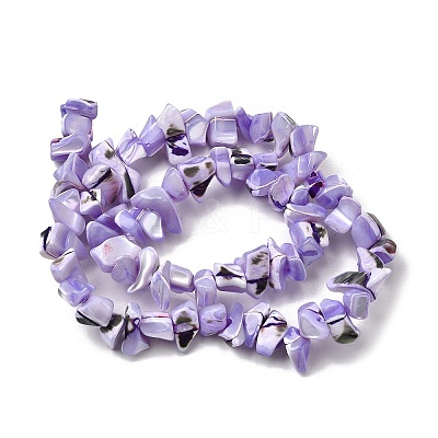 Natural Trochid Shell/Trochus Shell Beads Strands SHEL-B003-02F-1