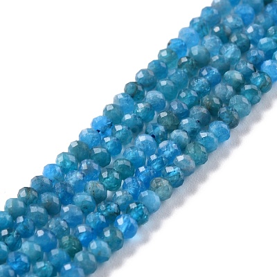 Natural Apatite Beads Strands G-K312-20B-1