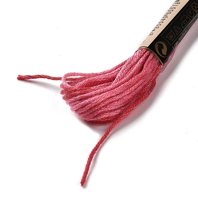 10 Skeins 6-Ply Polyester Embroidery Floss OCOR-K006-A19-1