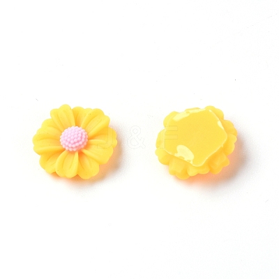 Resin Cabochons LS-RESI-TAC0006-02A-02-1