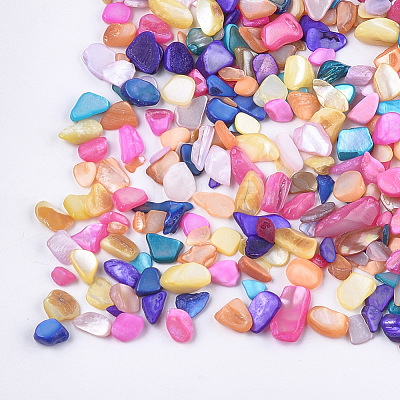 Shell Beads MRMJ-S034-06G-1