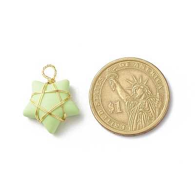 Opaque Resin Pendants PALLOY-JF01849-01-1