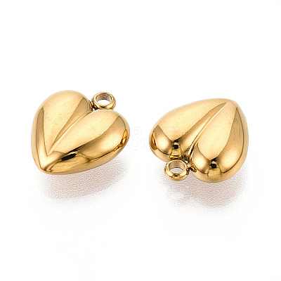 304 Stainless Steel Charms STAS-T065-80G-1