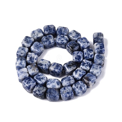 Natural Blue Spot Jasper Beads Strands G-Q608-10G-1
