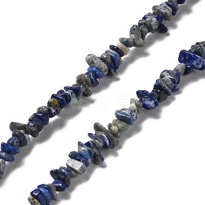 Natural Lapis Lazuli Beads Strands G-E607-A01-1