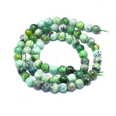 Natural Variscite Beads Strands G-F715-109A-1