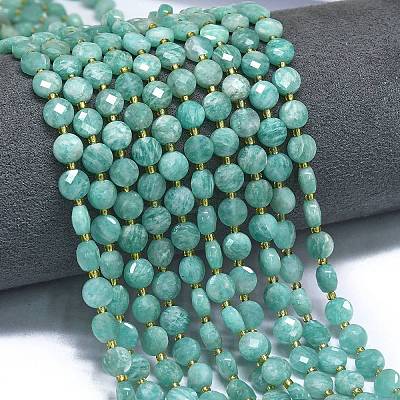 Natural Amazonite Beads Strands G-K389-B42-01-1