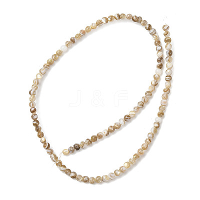 Natural Freshwater Shell Beads Strands SHEL-K006-71C-1