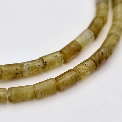 Column Natural Labradorite Beads Strands G-N0153-43-1