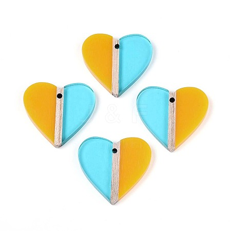 Transparent Resin & Wood Pendants RESI-T057-79-1