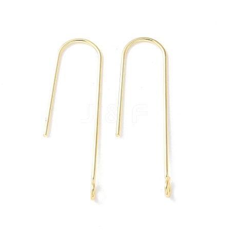 316 Surgical Stainless Steel Earring Hooks X-STAS-Z124-02D-G-1
