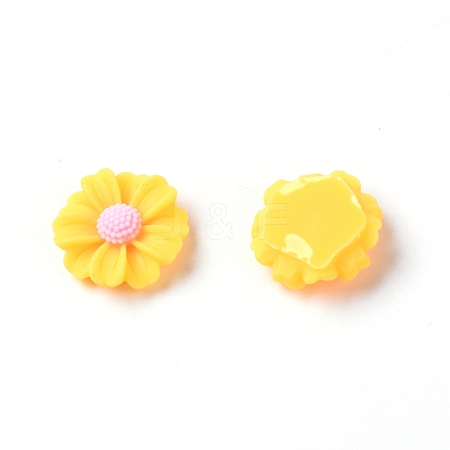 Resin Cabochons LS-RESI-TAC0006-02A-02-1