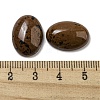 Natural Mahogany Obsidian Cabochons G-C115-01A-34-3