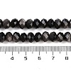 Natural Silver Obsidian Beads Strands G-B125-J02-01-5