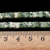 Natural Green Spot Jasper Beads Strands G-A280-C14-01-6
