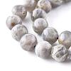 Natural Labradorite Beads Strands G-G212-8mm-23-9