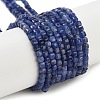 Natural Sodalite Beads Strands G-H042-B08-01-1