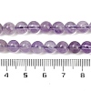Natural Amethyst Beads Strands G-M445-6mm-01C-5