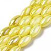 Freshwater Shell Beads Strands SHEL-N026-141-3