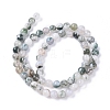 Natural Tree Agate Beads Strands X-G-L533-22-3