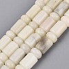 Natural White African Opal Beads Strands G-Q616-09N-2