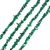 Natural Freshwater Shell Beads Strands BSHE-WH0006-05D-1