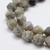 Natural Labradorite Beads Strands G-K209-02E-8mm-3