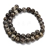 Natural Astroite Jasper Beads Strands G-F814-A01-10mm-3