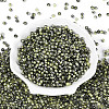 Transparent Inside Colours Glass Seed Beads SEED-T007-19A-05-1