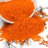 12/0 FGB Grade A Round Glass Seed Beads SEED-Q006-M06-1