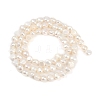 Natural Cultured Freshwater Pearl Beads Strands PEAR-P064-19D-05A-3