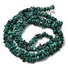 Natural HuBei Turquoise Bead Strands G-H345-A01-13-3