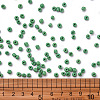 6/0 Glass Seed Beads SEED-US0003-4mm-47-3