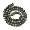 Natural Green Apatite Beads Strands G-K350-C04-6mm-3