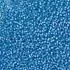 MIYUKI Round Rocailles Beads X-SEED-G007-RR0573-3