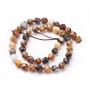 Natural Petrified Wood Beads Strands X-G-F545-F02-3