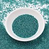 MIYUKI Delica Beads SEED-MY11-DB2380-2