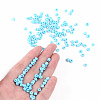 6/0 Glass Seed Beads X2-SEED-A010-4mm-43-4