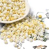 Baking Paint Glass Seed Beads X1-SEED-F006-01A-01-1