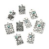 24Pcs 12 Styles Resin Imitation Turquoise Pendants FIND-CJ0003-52-9