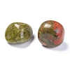 Natural Unakite Beads G-M368-09A-2