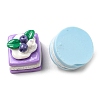 Opaque Resin Imitation Food Decoden Cabochons CRES-D008-03-3