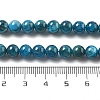 Natural Apatite Beads Strands LS-G-O186-G01-01-4