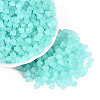 FGB Frosted Transparent Glass Seed Beads SEED-N013-03A-10-1