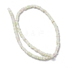 Handmade Lampwork Beads Strands LAMP-Q037-02A-07-2