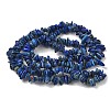 Natural Lapis Lazuli Chip Beads Strands X-G-E271-121-4
