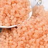 Transparent Colours Glass Seed Beads SEED-R001-01G-1